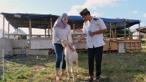 happy muslim couple buy a goat for eid adha sacrifice or qurban celebration photo