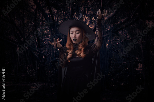 Mystery halloween witch standing over spooky dark forest with tree, leaves and vine, Halloween mystery concept