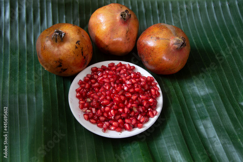 The pomegranate is a fruit-bearing deciduous shrub in the family Lythraceae, subfamily Punicoideae photo