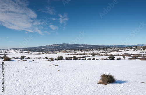 Fototapeta Naklejka Na Ścianę i Meble -  Snowy landscape in the municipality of Colmenar Viejo, Spain, after the storm Filomena