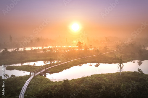 Colorful morning sunrise over the bog of national park of   emeri. Wooden trail leading through wetlands covered in fog. 
