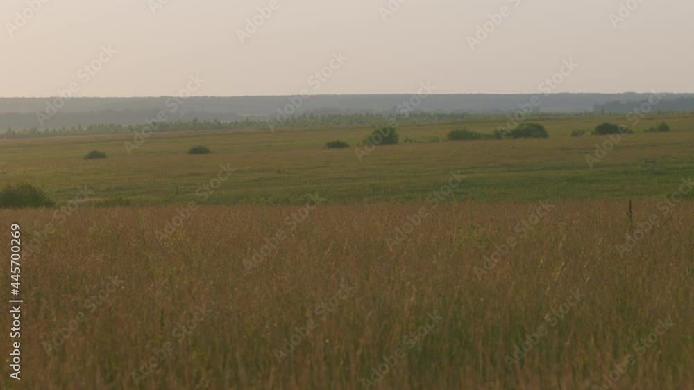Beautiful sunset over field. Beautiful sunset in evening time. Beautiful sunset over field. Beautiful sunset in evening time.