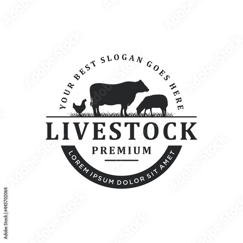 Vintage livestock logo design, vector concept illustration