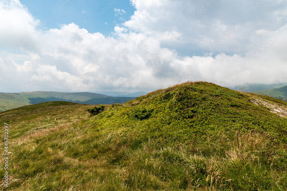 Hill summit by mountain meadow with bilberry shrubs and hills on the background in Carpathian mountains in Romania Hill summit by mountain meadow with bilberry shrubs and hills on the background in Carpathian mountains in Romania