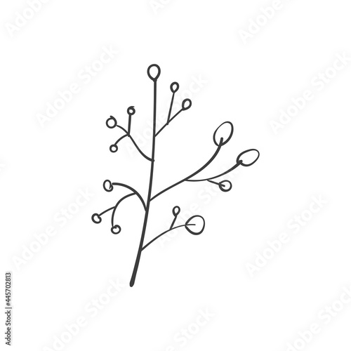 Hand Drawn Botanical Leaf Doodle Wildflower