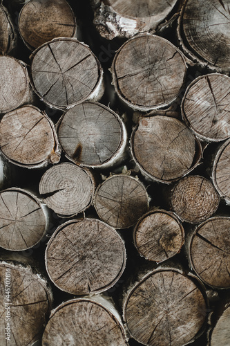 texture of wooden logs of different sizes lying in a heap