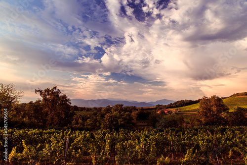 Sunset in the vineyards of Rosazzo after the storm © zakaz86