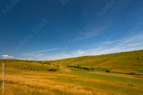 Aged  yellow grass in the small valley on a hot summer day  deep blue sky in the background.
