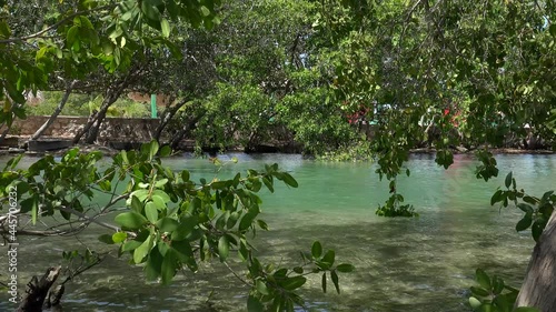 Completely open Cenote Chiquila. Rio Lagartos, Yucatan, Mexico    photo
