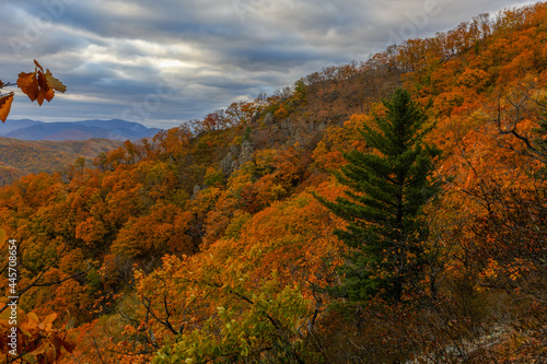 Height 611 in Dalnegorsk, where a UFO fell on January 29, 1986. View from the top of the mountain to the autumn multi-colored hills. Autumn forest.