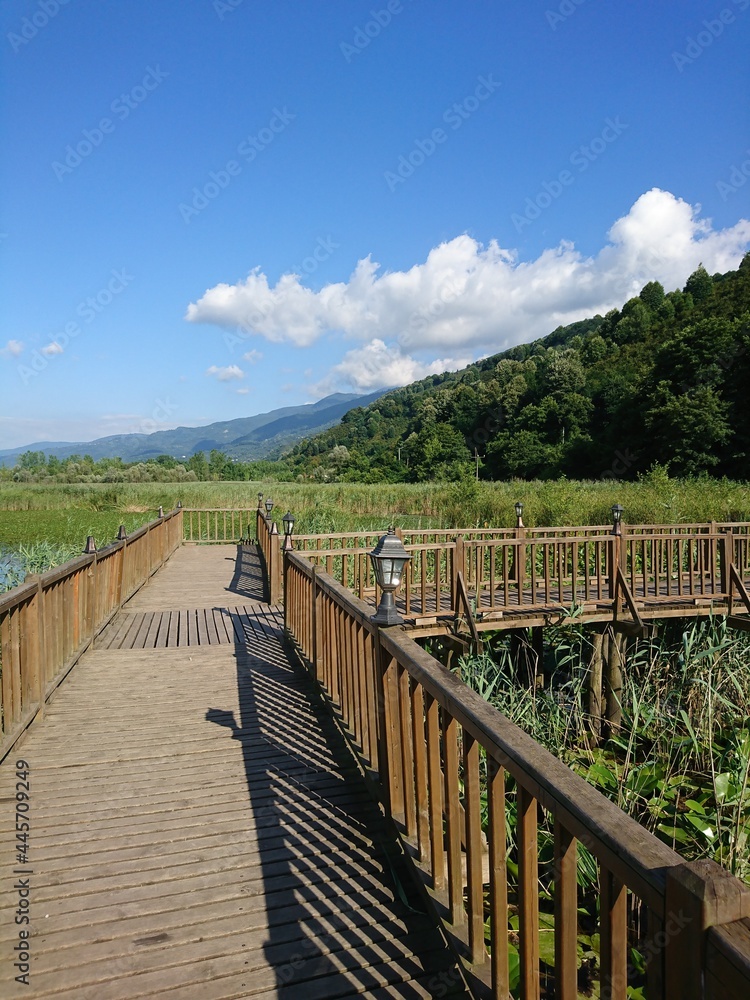 Fototapeta premium Efteni lake, Duzce-Turkey