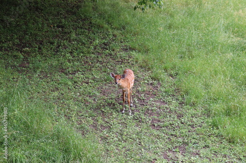 Fototapeta Naklejka Na Ścianę i Meble -  What's poopin