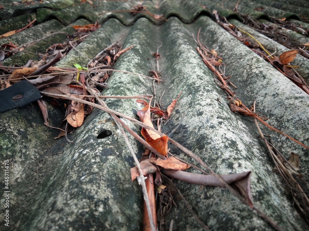 old gray roof With brown leaves and branches, moss, concept, dirty, needs to be cleaned. old gray roof With brown leaves and branches, moss, concept, dirty, needs to be cleaned.