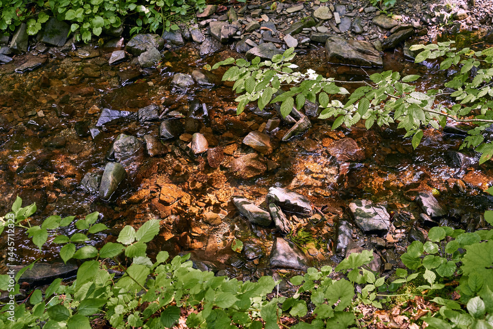 Top view of a small mountain stream river running in a shadowy forest Top view of a small mountain stream river running in a shadowy forest
