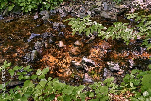 Top view of a small mountain stream river running in a shadowy forest