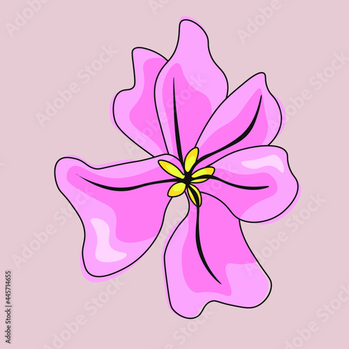 Illustration Featuring Colorful Wild Flowers. Vector flowers isolated.