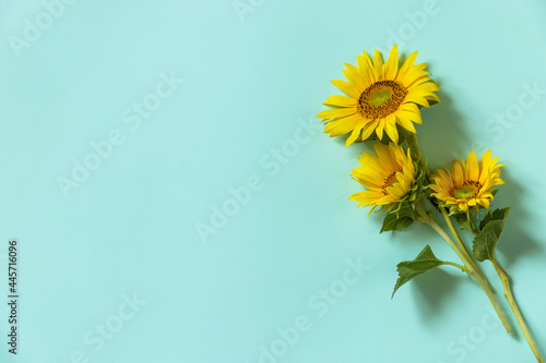 Autumn or summer floral concept, harvest time. Flower card. Sunflowers bouquet on green background. Top view flat lay. Copy space.