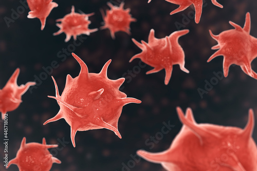 Activated platelets, also known as thrombocytes, blood cells responsible for the healing and closure of wounds