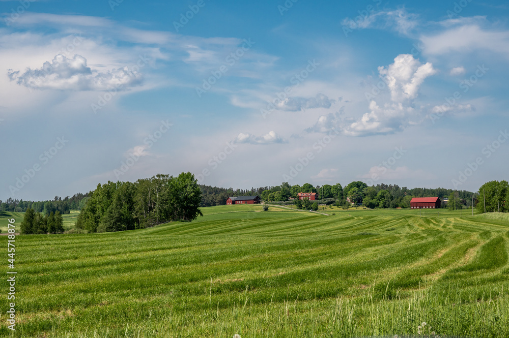 Sunny summer day in the countryside of Södermanland Sweden