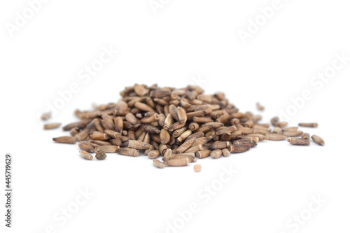 milk thistle seeds on white isolated background