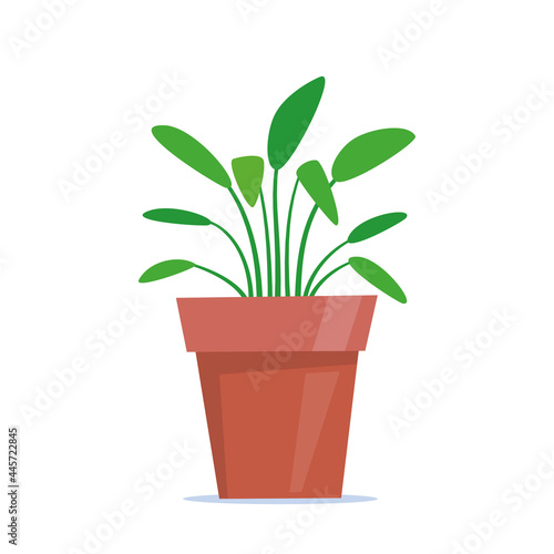 Cute green potted plant in flat style. Vector illustration.