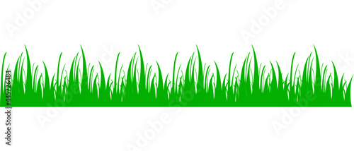 Green grass meadow. Spring or summer plant field lawn. Grass background