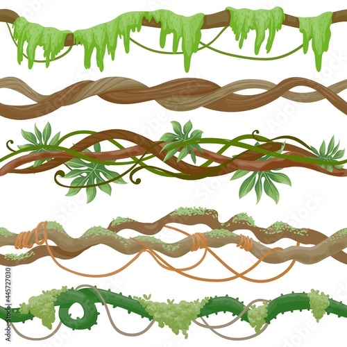 Seamless jungle vine on branch. Wild tropical tree with liana, leaves and moss. Green creeper plant stem. Cartoon rainforest vector pattern