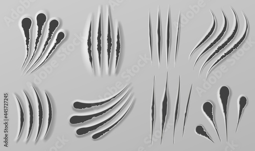 Claw rips. Marks of beast paws. Realistic bear, tiger or lion torn scratch. Horror halloween monster or animal slash mark texture vector set