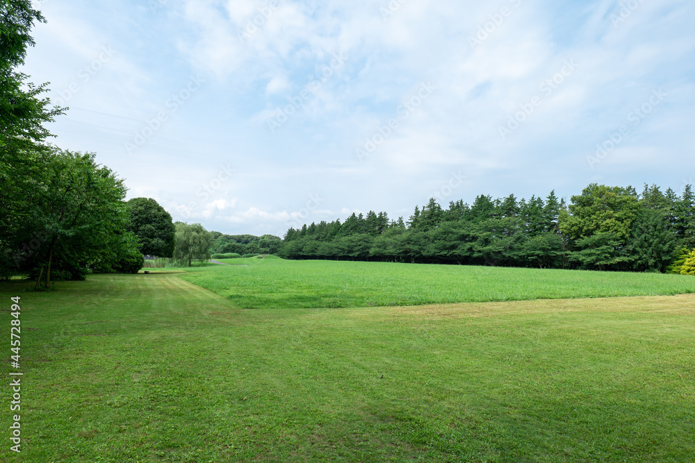 夏の古河公方公園の風景　7月