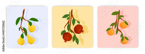 Fruit Collage. Realistic still life in bright colors. Pears, tangerines and pomegranate on a branch. Abstract design elements for social networks, posters and banners. Bright minimalistic set