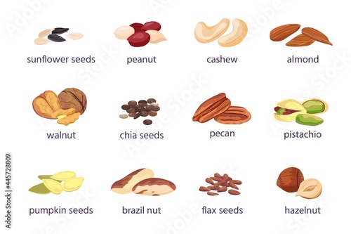 Nuts and seeds. Hazelnut, almond, walnut and peanut. Sunflower, pumpkin and chia seed pile. Pistachio, cashew and brazil nut icon vector set