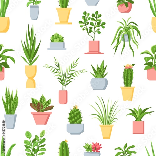 Pot plants seamless pattern. Houseplants, cactus and succulents, garden in pots home interior decor. Scandinavian style floral vector print