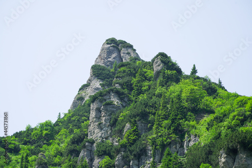 mountainous landscape. mountain landscape in Bucegi National Park in July 2021.