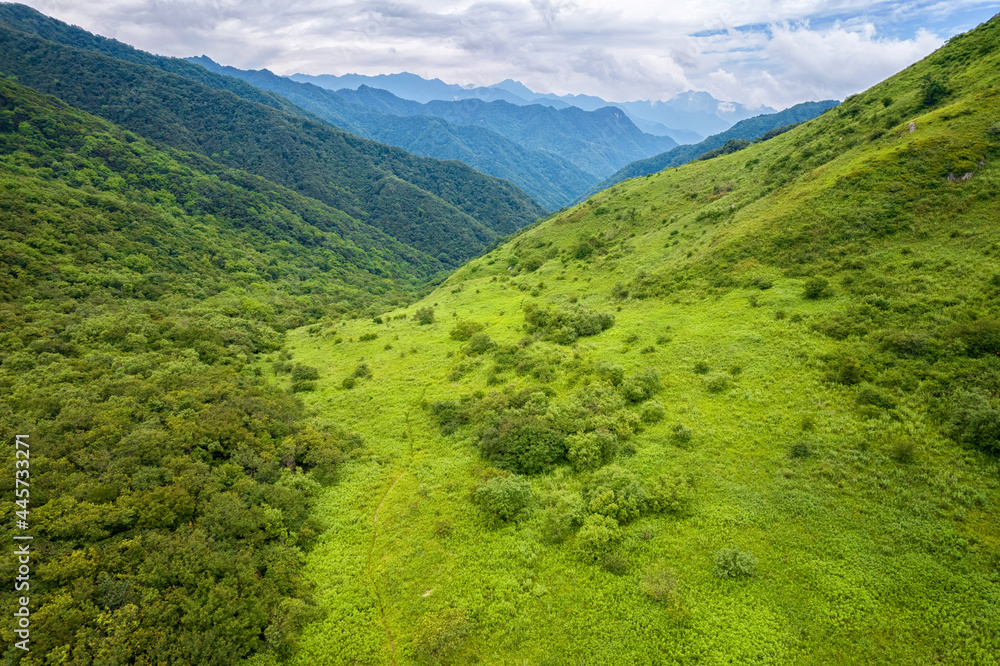 Obraz premium Kuyu Meadow