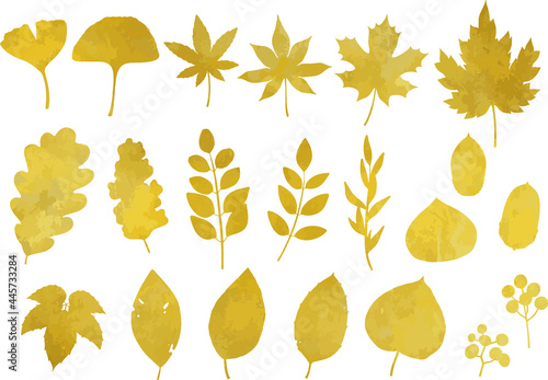 秋のゴールドリーフ・植物のセット　線画なし　ベクター素材
