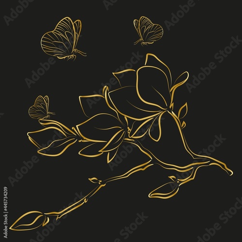 Elegant golden outline sketching of magnolia flowers, vector illustration