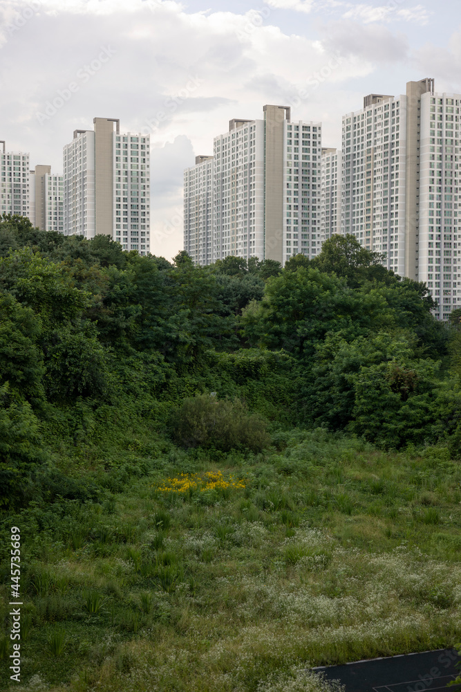 Fototapeta premium 한국의 아파트 풍경. Korean style apartment, APT with nature