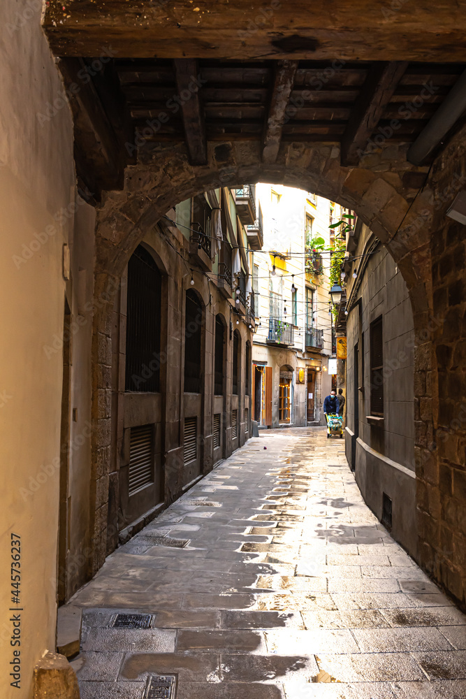 Fototapeta premium Barrio Gótico de Barcelona 