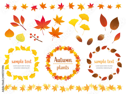 秋の植物のフレーム、ラインセット　Autumn plant frame vector art
