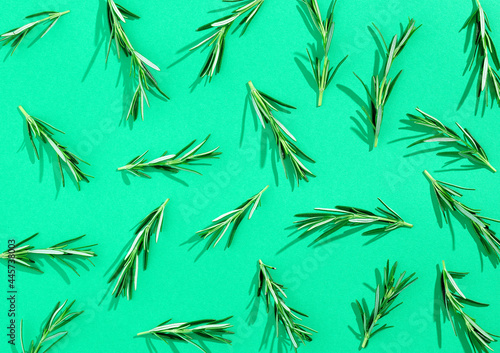 Rosemary pattern on green background, from above, hard shadow