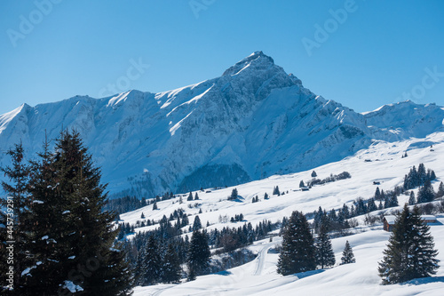 Winter am Heinzenberg