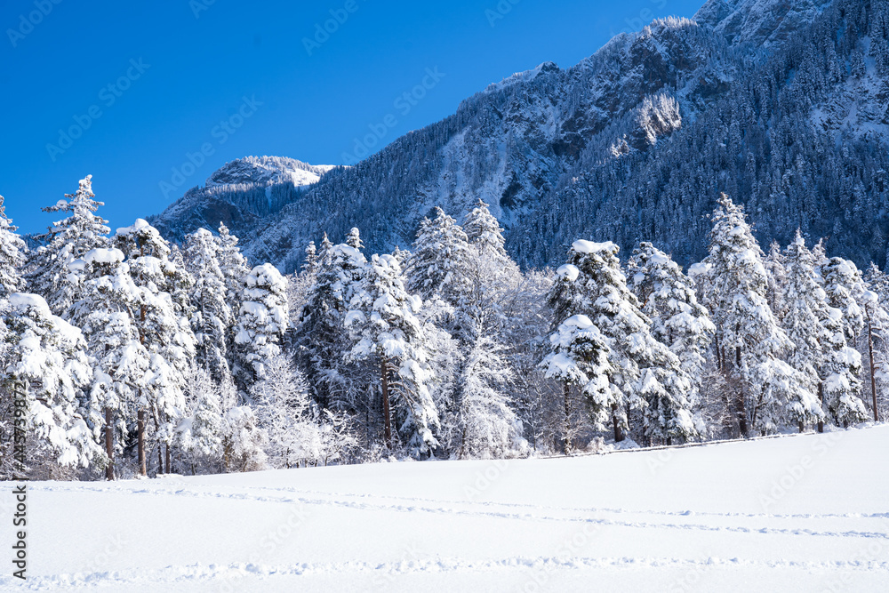 Obraz premium Winter in Chur