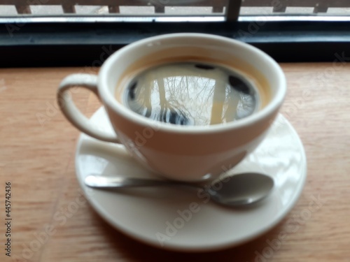 A tree in a coffee cup