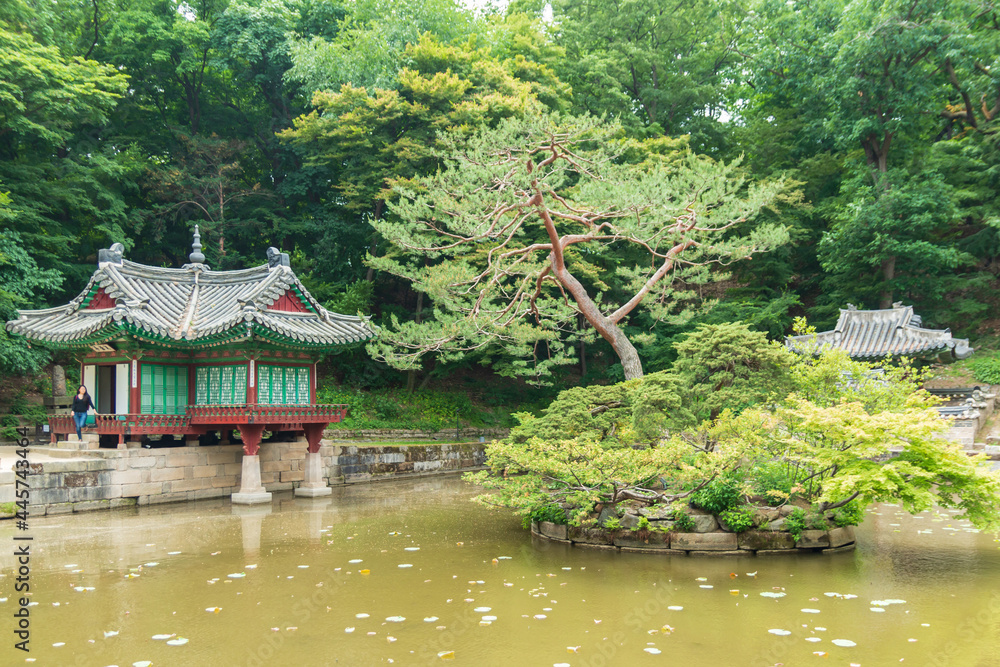 창덕궁 후원의 부용지와 부용정
