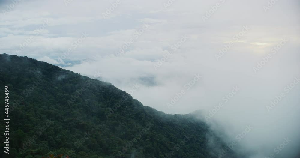 Thick Fog Slowly Clearing to Reveal The Cameron Highlands, Malaysia Thick Fog Slowly Clearing to Reveal The Cameron Highlands, Malaysia