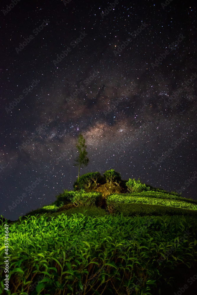 sky with stars