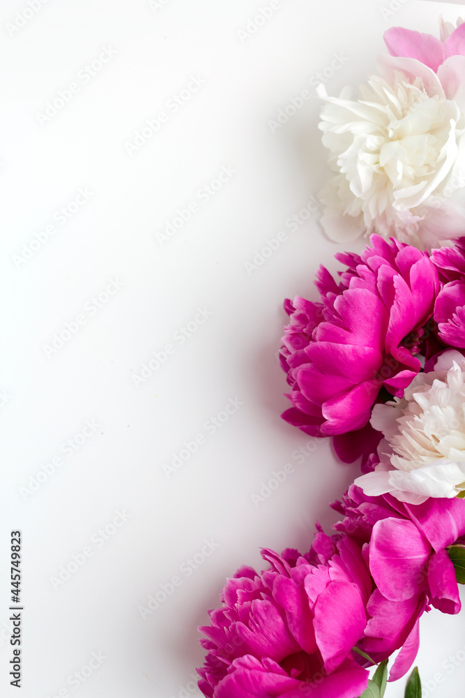 Pink and white peonies on white wooden background. Copy space. Pink and white peonies on white wooden background. Copy space.