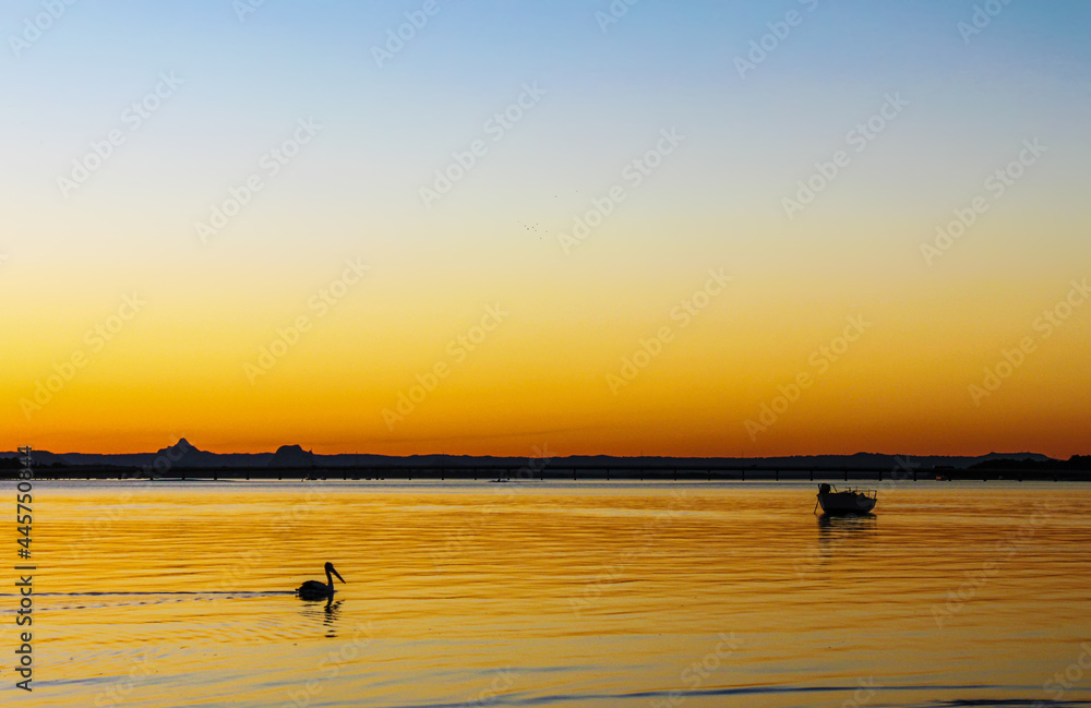 Pelican swims across liquid gold water with moat moored farther out under sky merging from orange to blue at sunset behind volcanic mountains in distance. - obrazy, fototapety, plakaty 
