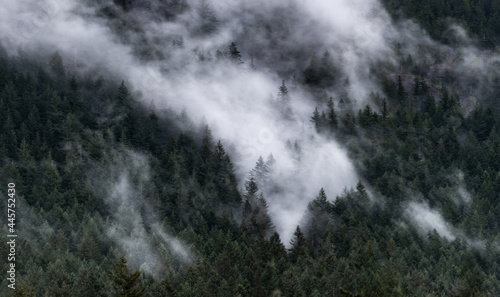 fog in the mountains © Neal Lally Photo