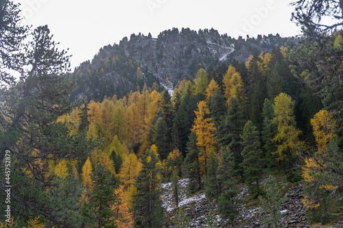 Herbst am Palpuognasee